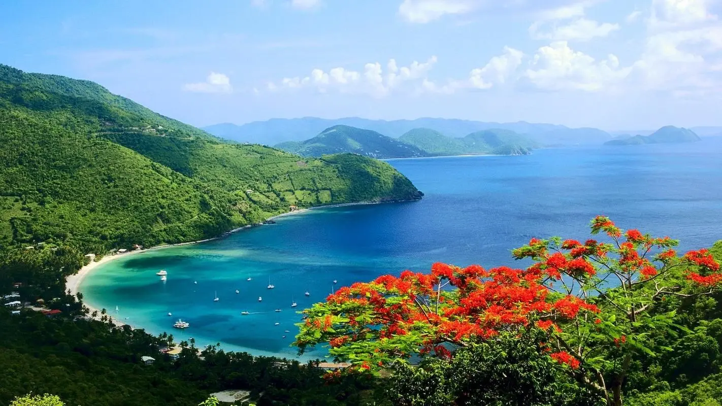智能高精度高质量